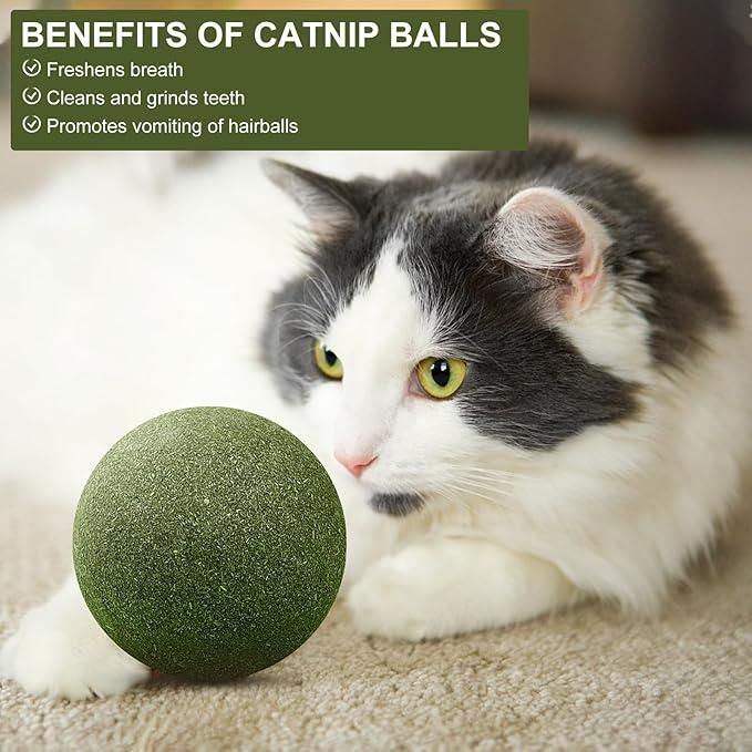 Natural Cat Mint Toy Ball – Sisal & Bamboo Chew Ball for Play & Oral Health