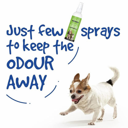 FLAZIA Pets Natural Pet Area Odour Control Spray (100 ML) – Pack of 2