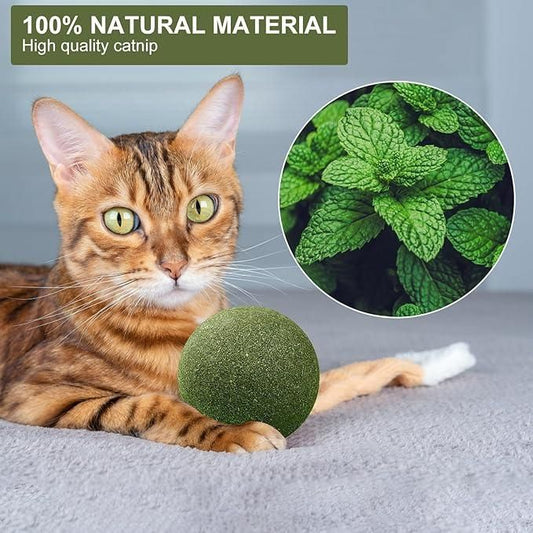 Natural Cat Mint Toy Ball – Sisal & Bamboo Chew Ball for Play & Oral Health