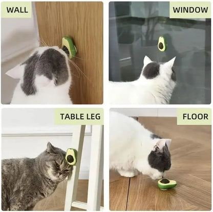 Minty Avocado Catnip Ball – A Fun & Healthy Treat for Your Cat