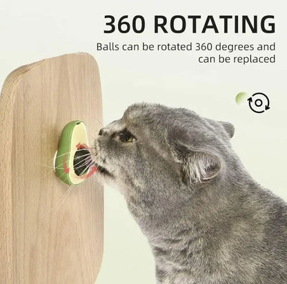 Minty Avocado Catnip Ball – A Fun & Healthy Treat for Your Cat
