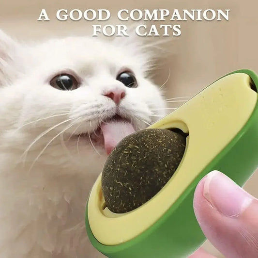 Minty Avocado Catnip Ball – A Fun & Healthy Treat for Your Cat