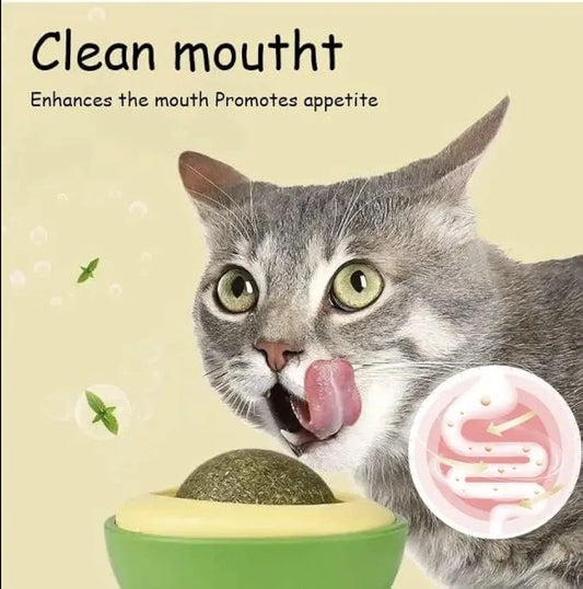 Minty Avocado Catnip Ball – A Fun & Healthy Treat for Your Cat