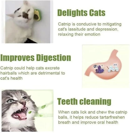 Minty Avocado Catnip Ball – A Fun & Healthy Treat for Your Cat